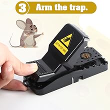 reusable mouse trap