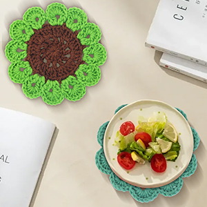 Crochet Kit for Beginners