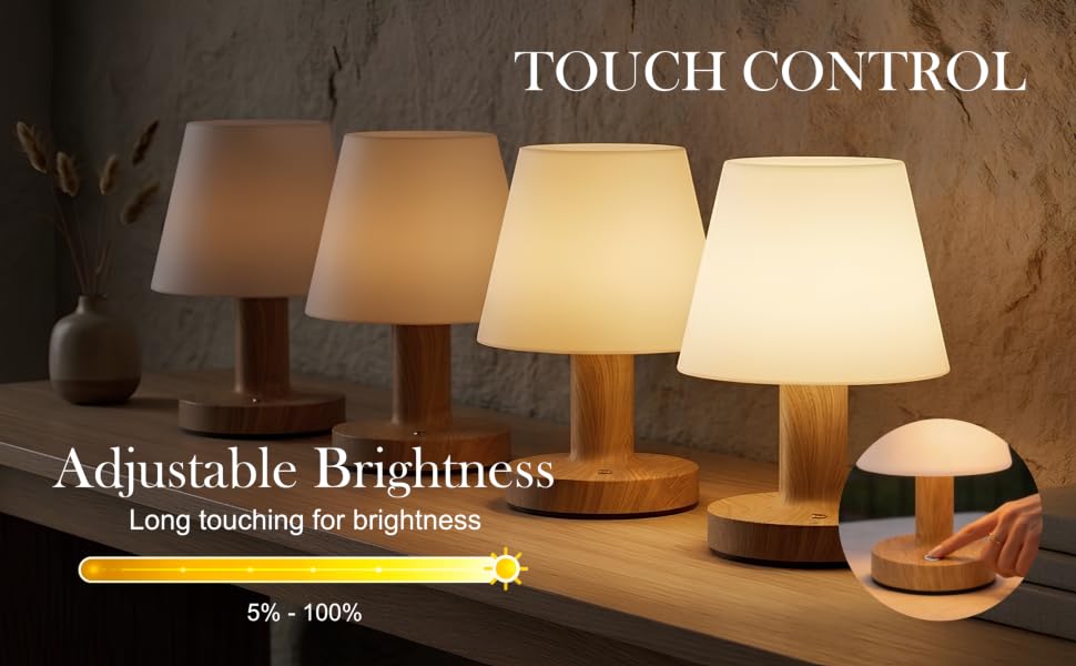 Adjustable Color & Brightness