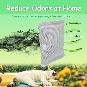 cat litter box