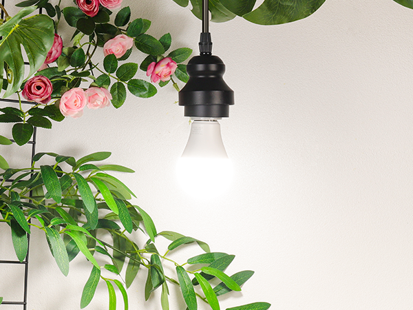 A19 LED Light Bulb