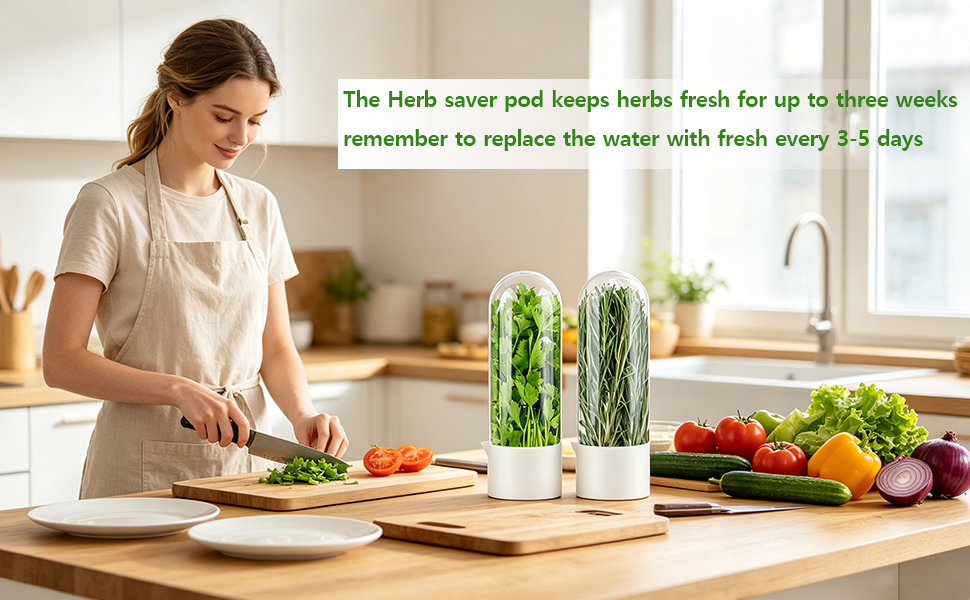 Herb Keeper for Refrigerator