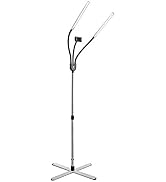 daylight Company Gemini Floor Lamp, 2 Strobe Lamp, 4 Brightness Levels, Social Media, Nails, Salo...
