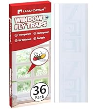 https://m.media-amazon.com/images/I/41GDYlSbp5L.__AC_SR200,225___.jpg