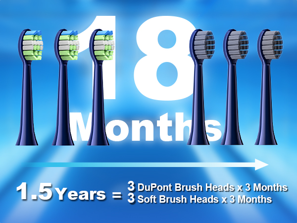Electric Toothbrush