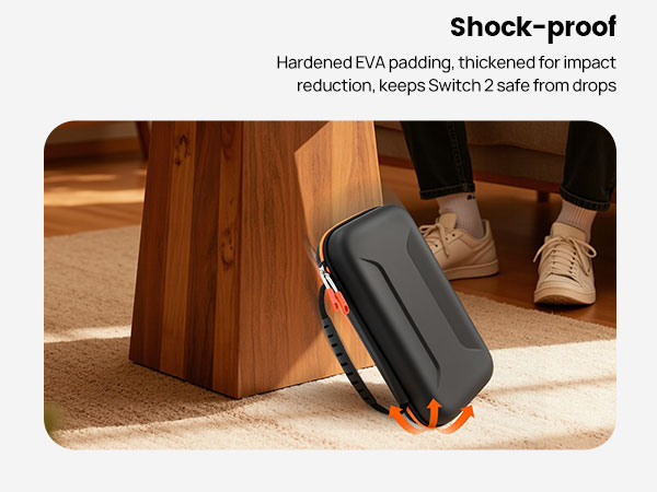 switch 2 carrying case