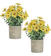2 Pack Small Fake Plants Potted Artificial Plants Artificial Flowers Potted Faux Flower Daisy wit...