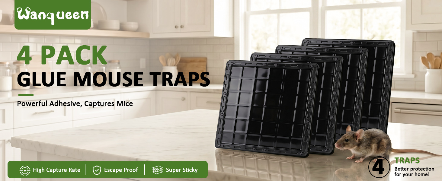 mouse trap