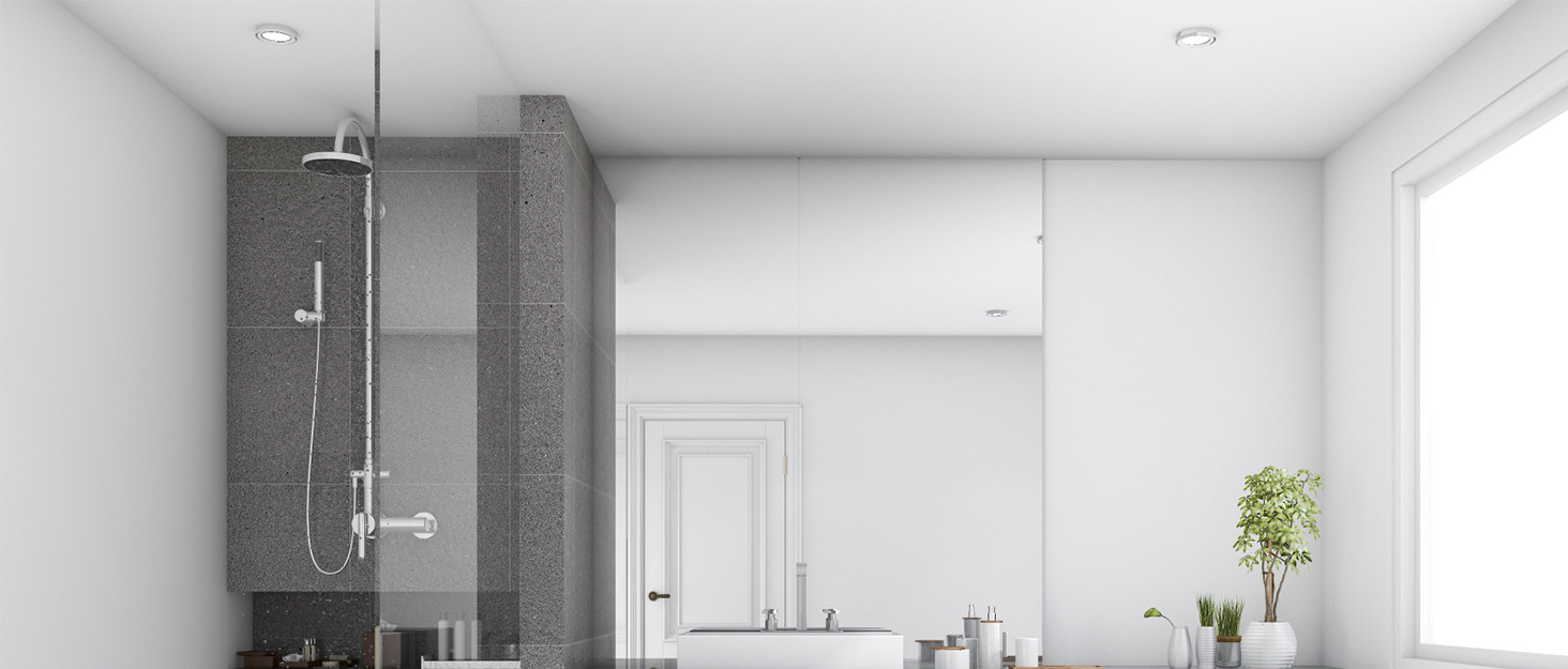 Shower Squeegee
