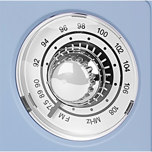 FM DISK