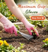 woman gloves