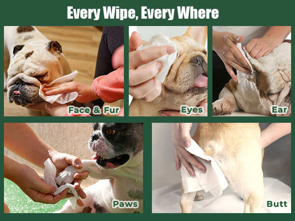 pet glove wipes