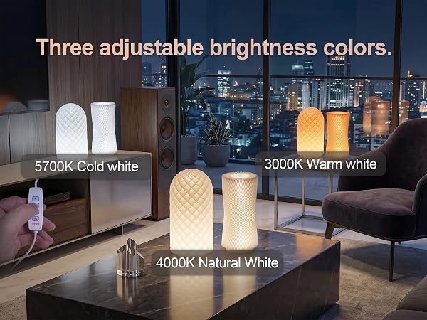 bambu led lamp kit 001