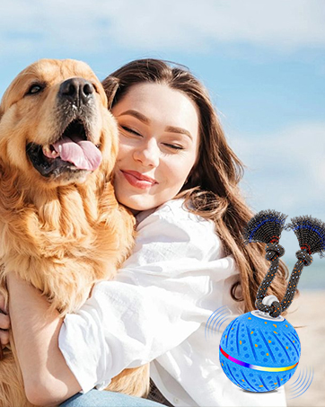 interactive dog ball
