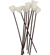 Pack of 30 Brown Rattan Reed Fragrance Diffuser and Flower Replacement Refill Sticks