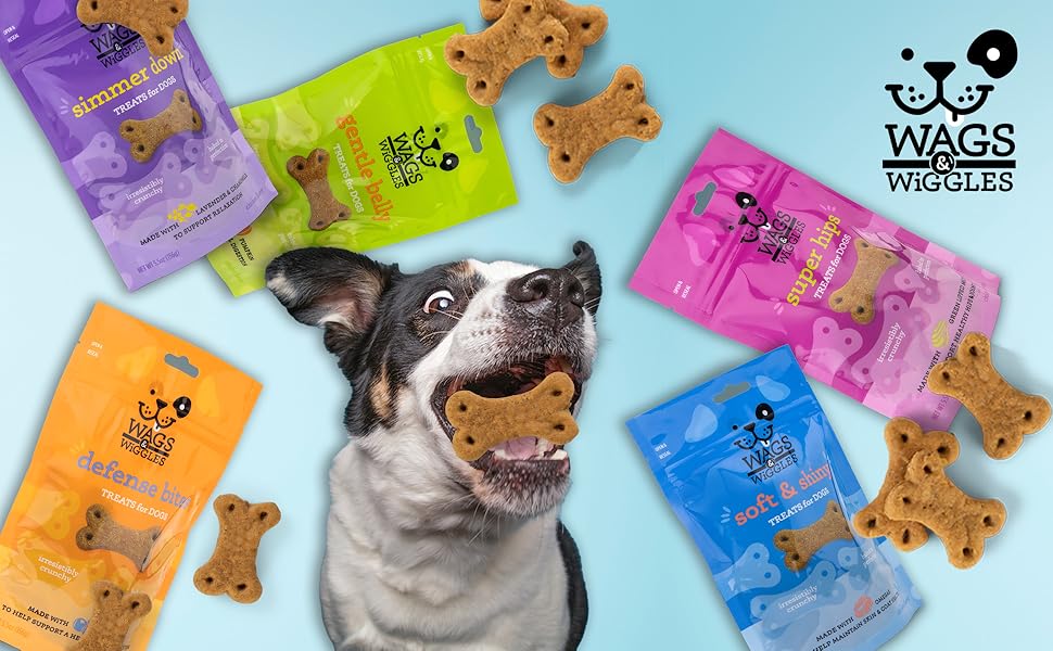 flat lay image of dog with treat packets and biscuits