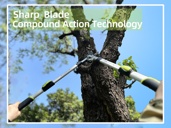 650x450 A- extend loppers
