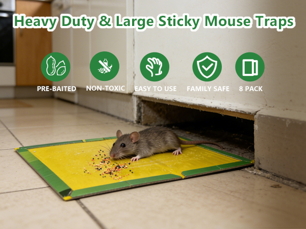 Mouse trap Rat traps