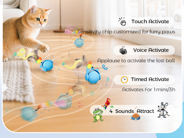 Automatic Kitten Toys