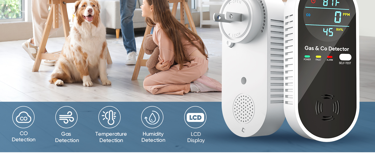 smoke and carbon monoxide detector