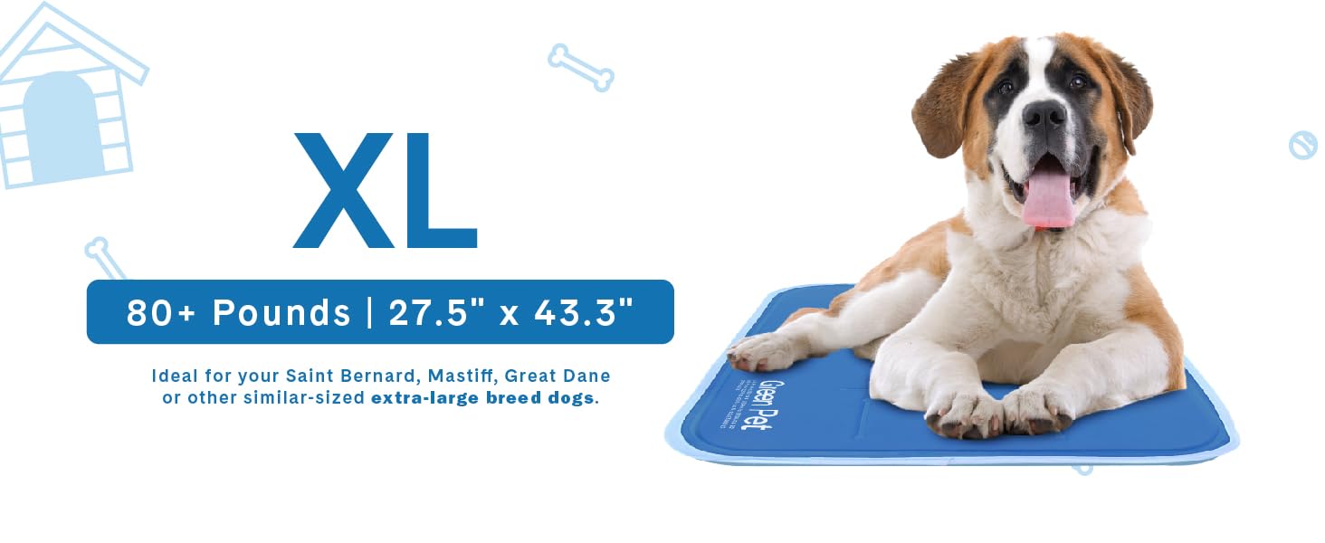 cool pet pad