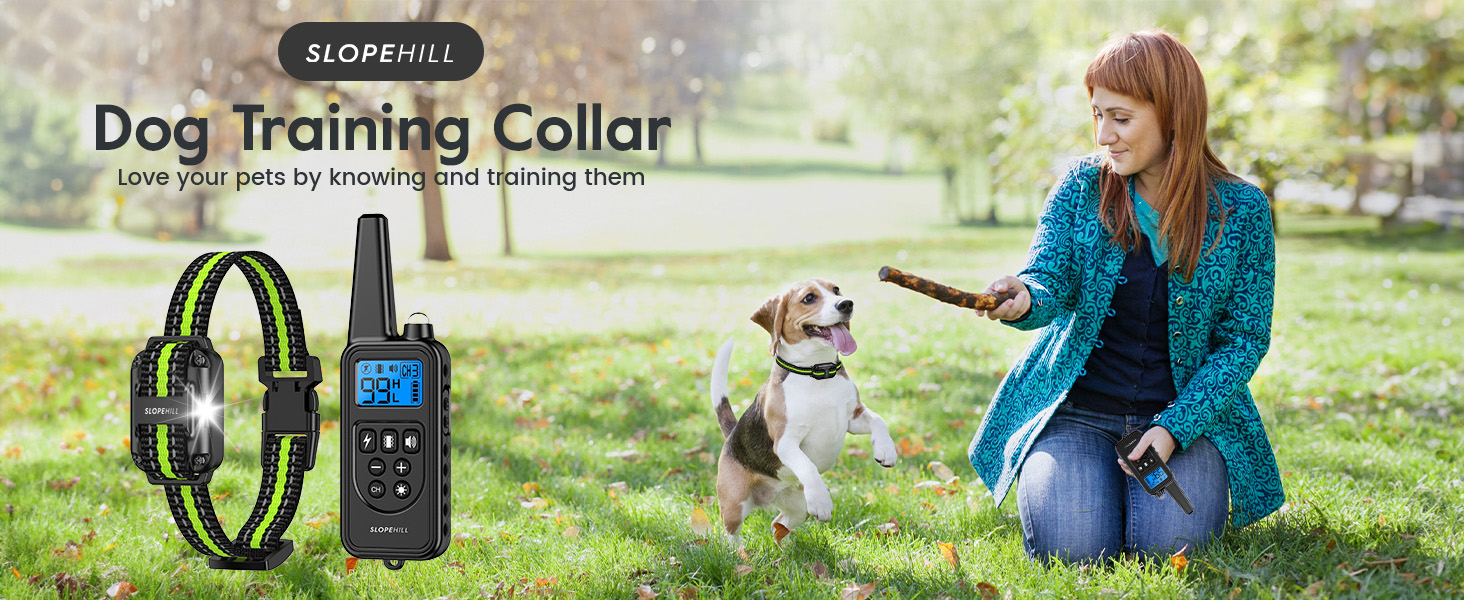 dog collar