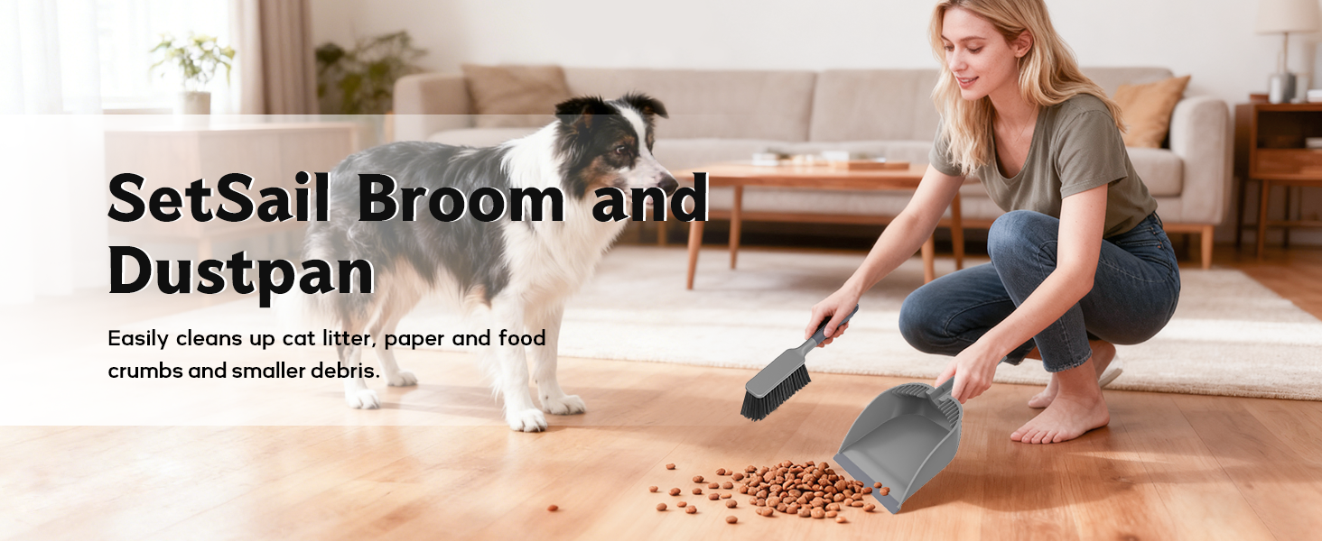 Small Dustpan and Brush Set