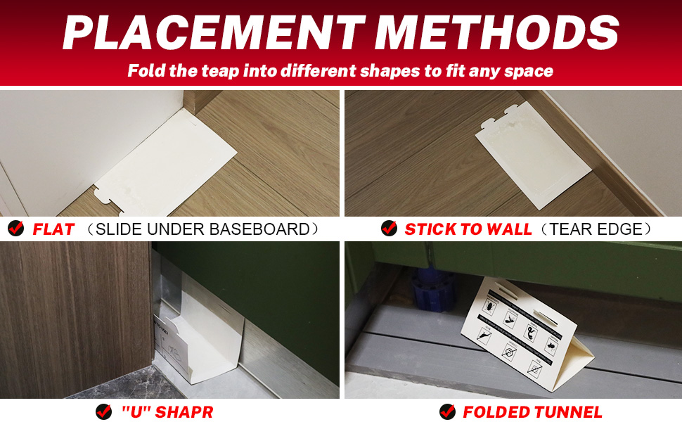 Mouses Traps