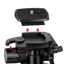 Tripod