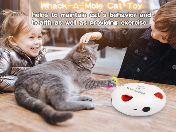 cat toys