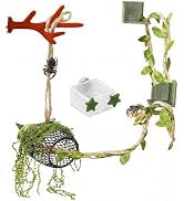 Lanxitown 5Pcs Jumping Spider Enclosure Accessories with Hammock, Magnetic Climbing Rope, Resting...