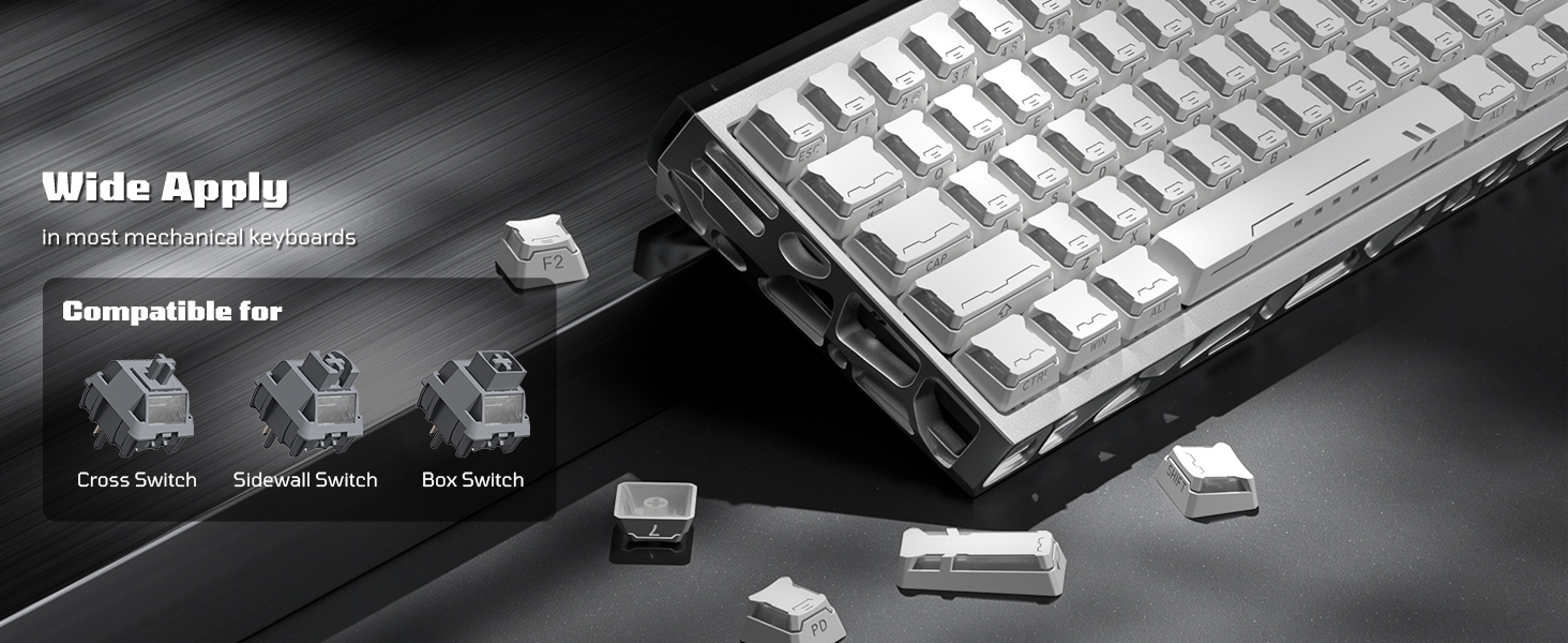 moa profile keycaps