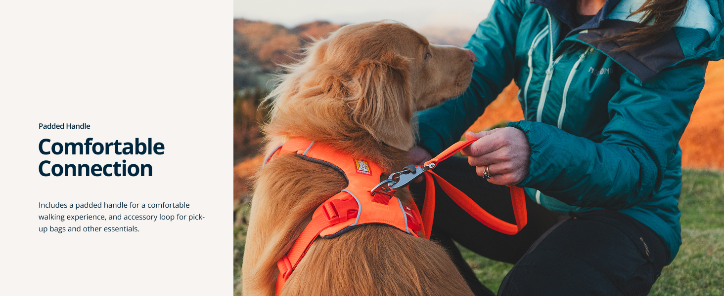 Lightweight webbing dog leash with ombré color patterns to match Front Range harnesses.