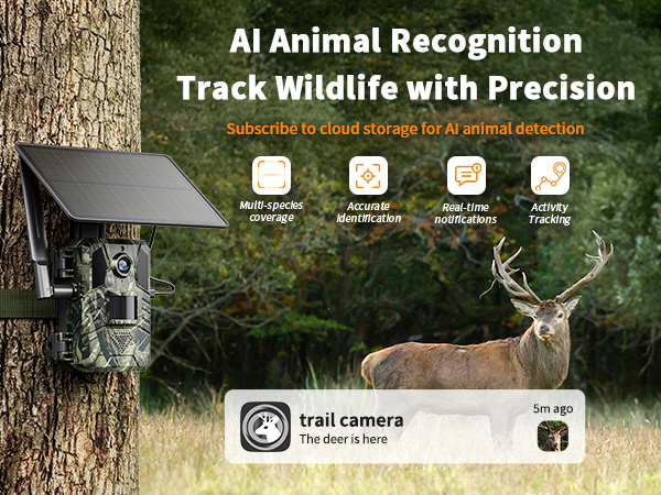 trail camera