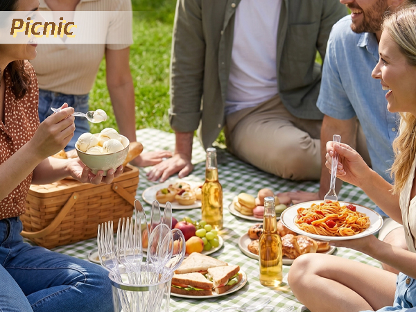 Clear utensil disposable for picnic