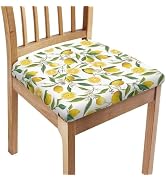 Pzuqiu Lemons Square Chair Cushion Cover for Dining Office Wear Resistant Chair Seat Slipcover Ho...