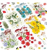 NESCCI Dried Pressed Flowers for Resin, 103pcs Real Nature Dried Flowers for Crafts Bulk Dry Flow...