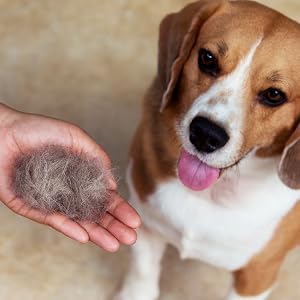 Pet hair remover uproot cleaner reusable lint fuzz shaver