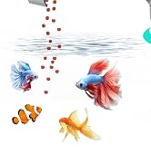 fish auto feeder