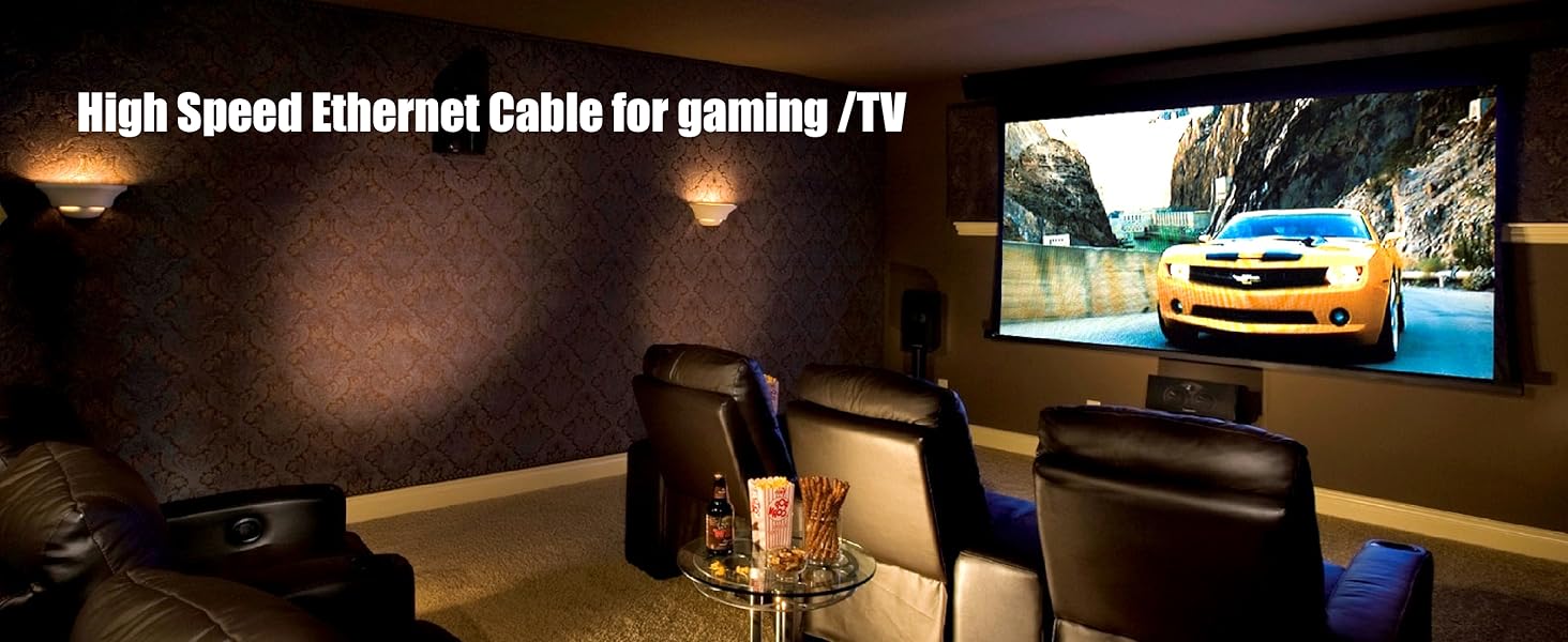 Ethernet Cable 100 ft High Speed