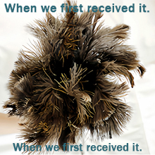 Feather Duster