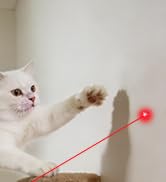 TBTeek Cat Toys, Rechargeable, 3 Light Modes & 5 Fun Patterns, Portable Interactive Kitten Pet Do...