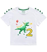 WAWSAM 2nd Birthday Boy Shirt Dinosaur Birthday T-Shirt 2 Year Old Toddler Outfit