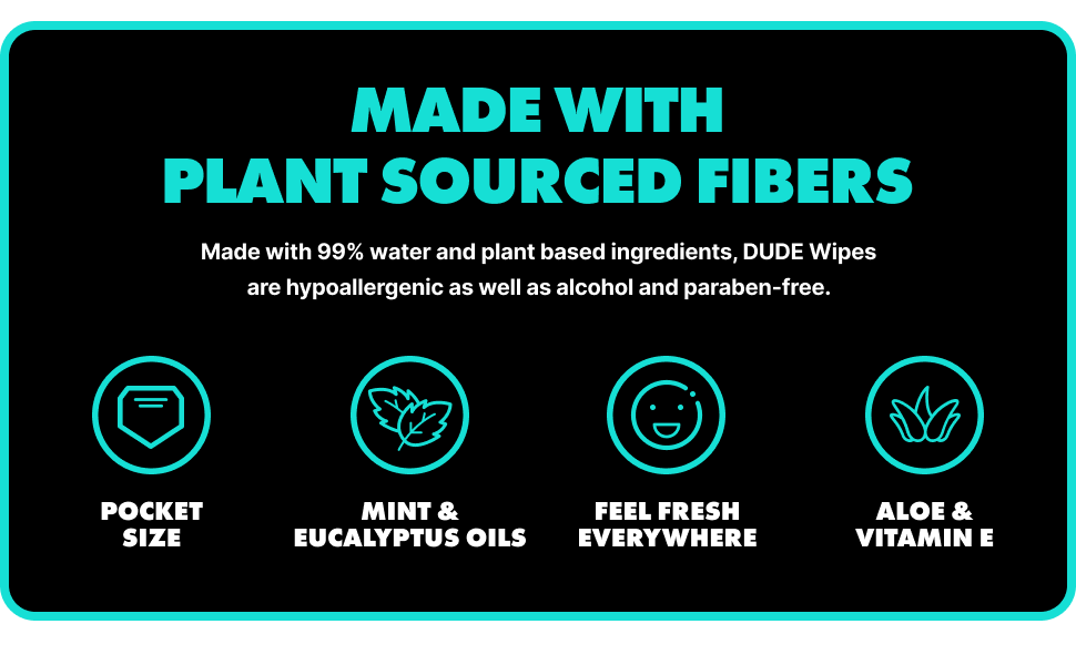 Flushable Wipes Travel Size
