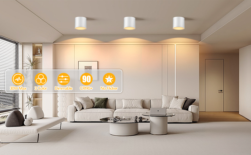 ceiling spot light
