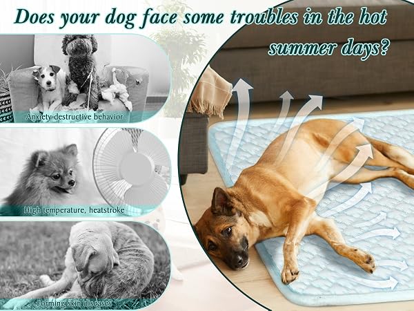 Why Choose the SuBleer Dog Cooling Mat?