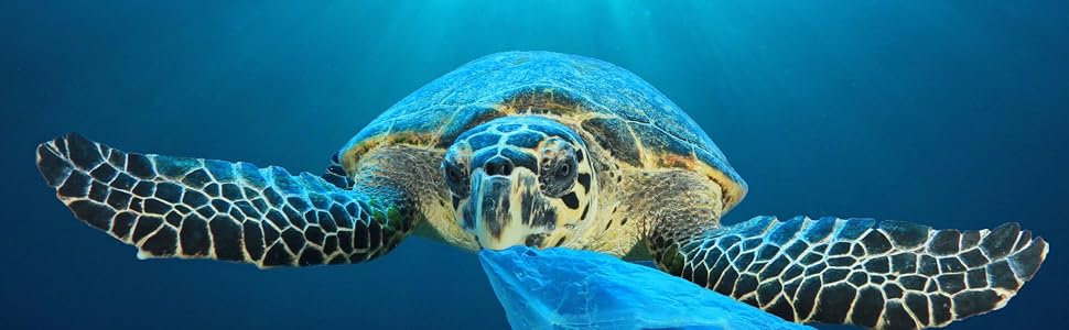 No More Plastic Bags