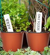 Bluckincle 100 Pcs Plant Nursery Pots, 6 Inch Large Plant Seedling Pots with Labels Plastic Plant...