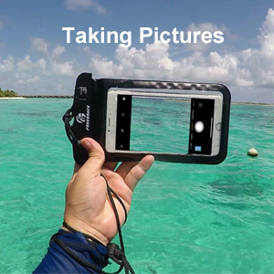 Taking Pictures