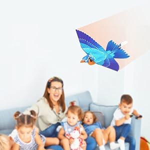 go go bird for family fun